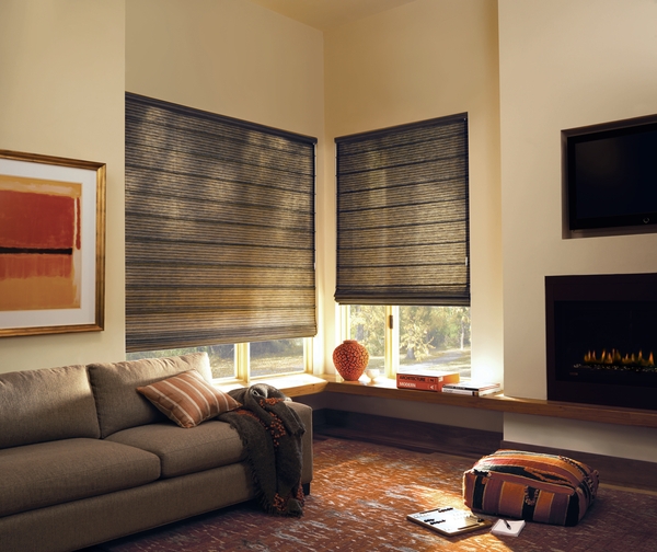 Roman Shades Tailored Transitional Living Room Window Decor