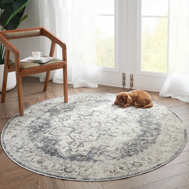 Round Area Rug Grey Distressed Vintage Aesthetic Matte Finish Living Room