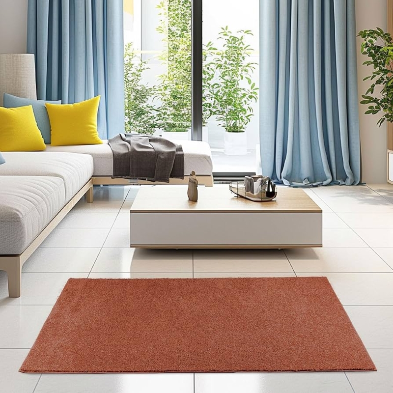 Runner Rug in Rust, Low Pile Pet Friendly Hallway Runner