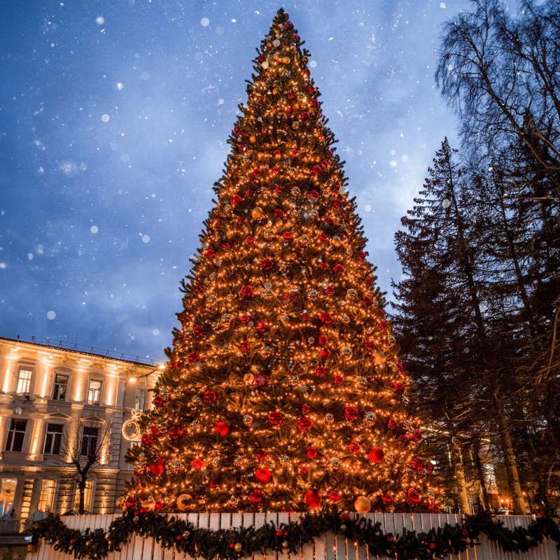 18' Pre-Lit Olympia Pine Artificial Commercial Tower Christmas Tree - Warm  White LED Lights