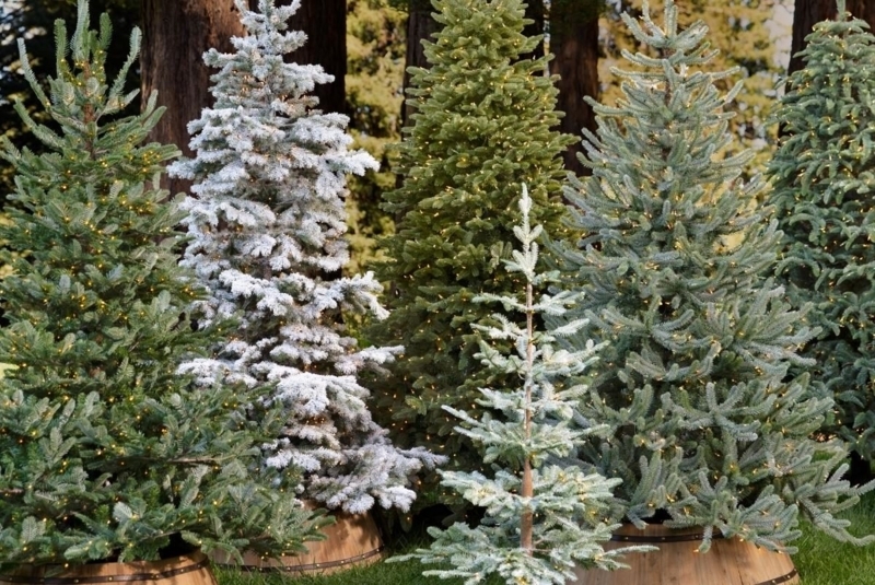 Artificial Christmas Tree Grouping Comparing Textured Foliage Types