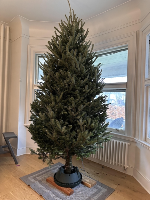 Artificial Christmas Tree Tall Slim Silhouette 9ft Height, Pencil Tree