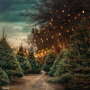 Backdrop Christmas Tree Light Lined Pathway Snowy Outdoor Display