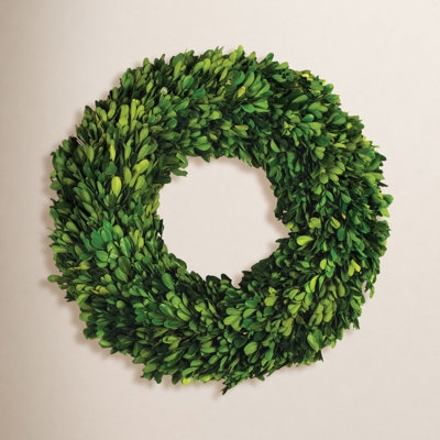 Boxwood Wreath with Preserved Foliage Like Finish and Vibrant Green Color