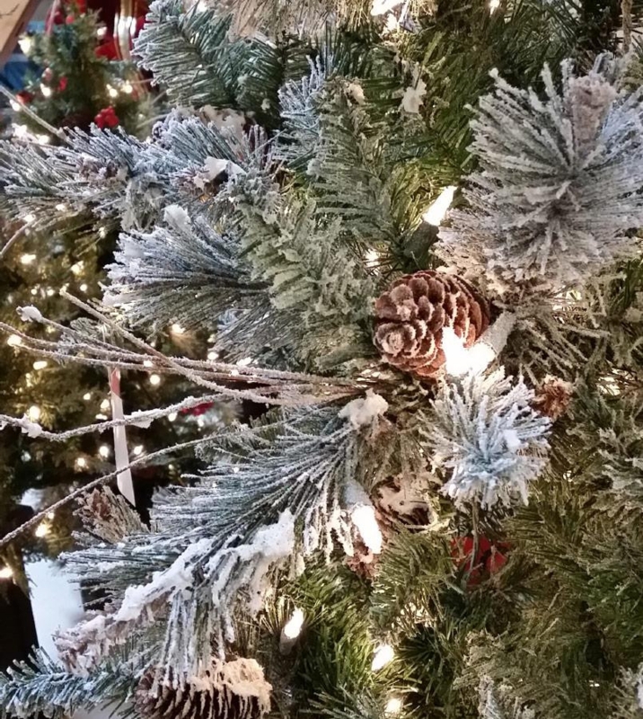 Christmas Tree Branch Brown Toned Stems Frosted Premium Virginia Pine