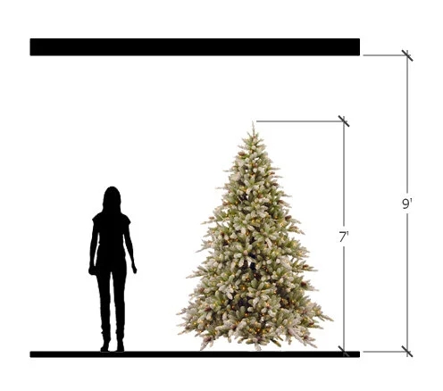 Christmas Tree Chart Height Comparison Guide Minimalist Illustrated