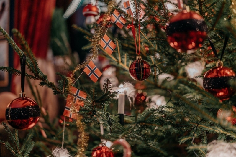 Christmas Tree Coastal Traditional with Coastal Palette and Warm Lights