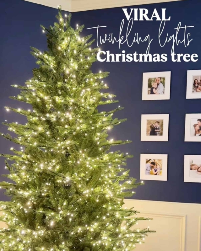 Christmas Tree High Light Density Micro LED Woven Base Decor