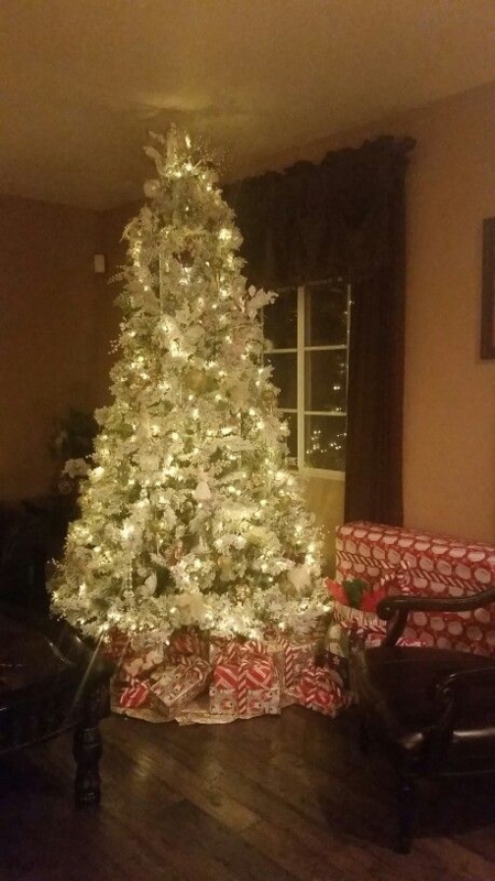 Christmas Tree Minimalist Modern Farmhouse, Heavy Flocking, Warm Lights