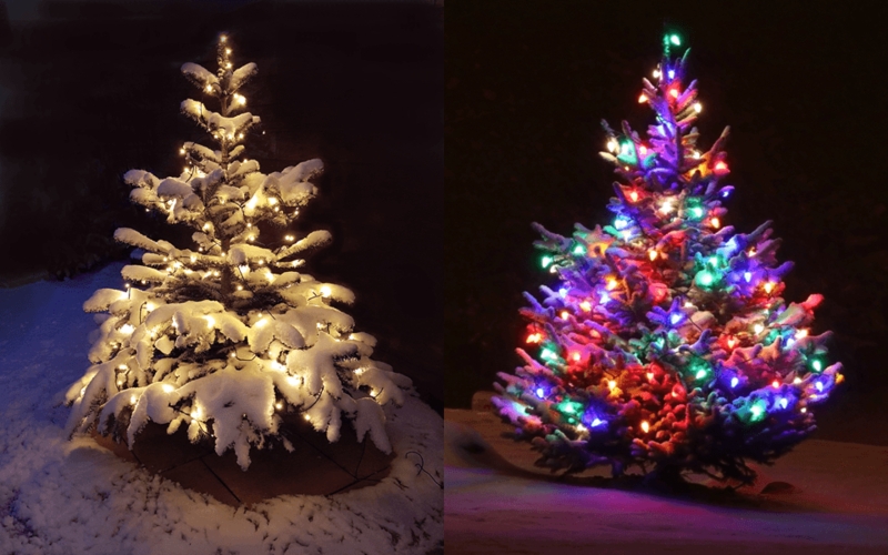 Christmas Trees, Two Artificial, White vs Colored Lights Comparison