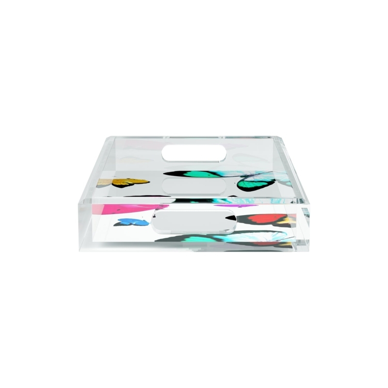 Decorative Tray Butterfly Specimen Motif Clear Acrylic Frame Maximalist