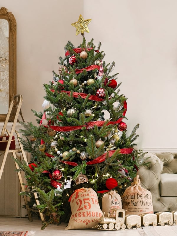 Elegant Fraser Fir Christmas Tree against Navy Blue Wainscoting