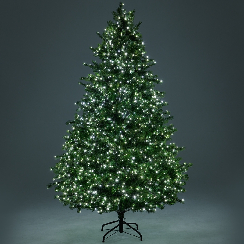 Full Douglas Fir Christmas Tree With Twinkling LED Lights