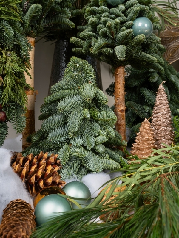 Grouped Scandinavian Style Christmas Trees in Rattan Baskets