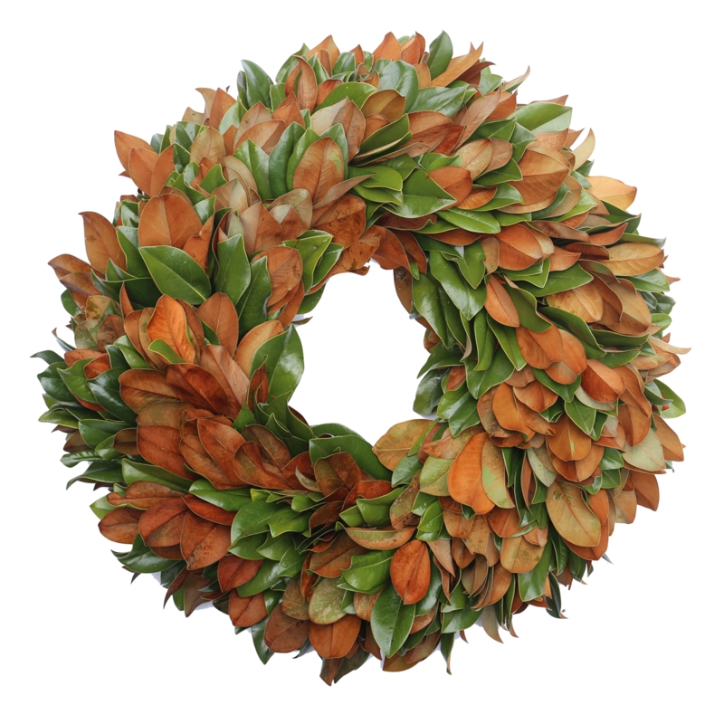Magnolia Wreath with Brown Velvet Underside, Large Diameter, Traditional Style