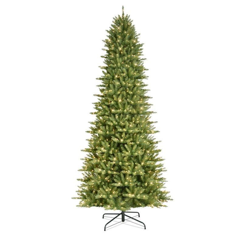 Narrow Profile Fraser Fir Tree Dense Foliage Clear Lights Traditional