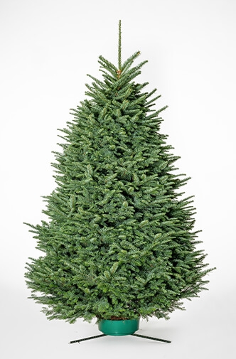 Noble Fir Artificial Tree with Tiered Branches and Blue-Green Foliage