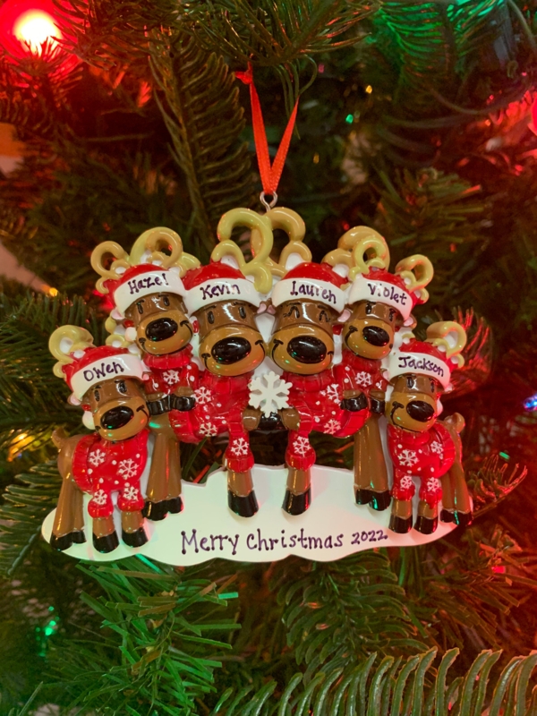 Personalized Christmas Ornament Six Reindeer Family Glitter Noses