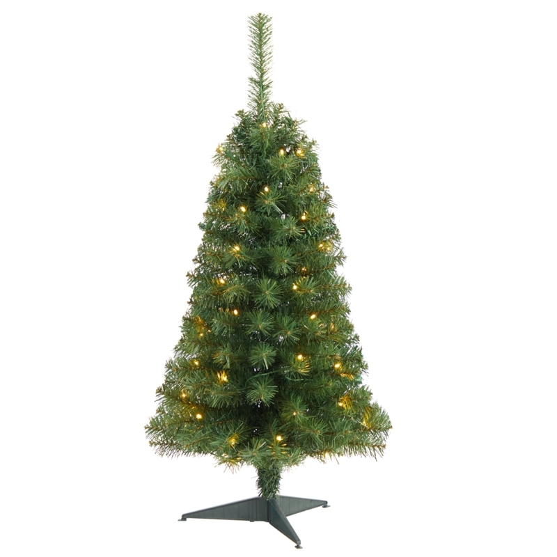 Pine Christmas Trees at