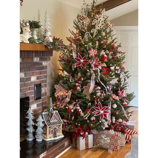Real Fraser Fir Christmas Tree Freshly Cut Dense Foliage