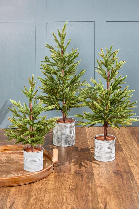 Rustic Tabletop Christmas Tree Set: Realistic Textured Bark Trunks.