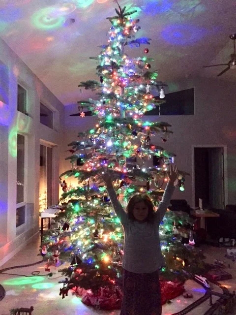 Slim Profile Pre-Lit Christmas Tree for Cozy Traditional Corner