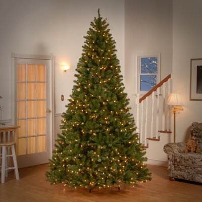 Spruce Christmas Tree Full Profile Clear Lights Traditional Holiday