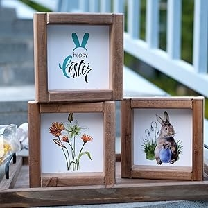 Tiered Tray with Interchangeable Signs for Winter Farmhouse Decor