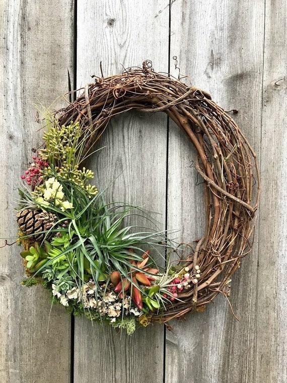 Wreath with Living Succulents & Air Plants, Modern Rustic Wall Decor