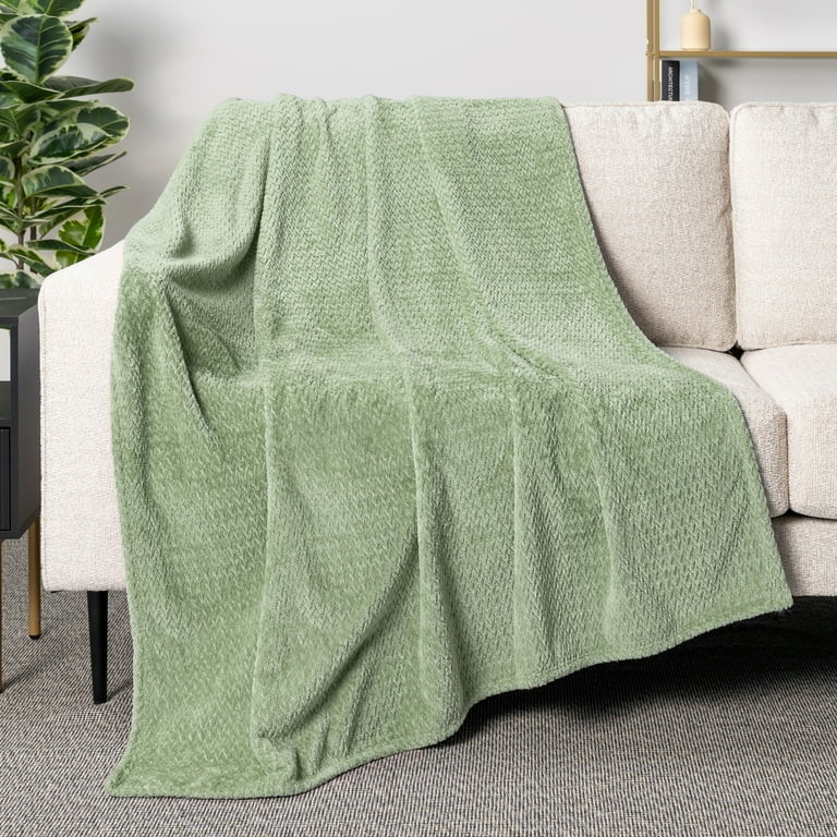 Pavilia Soft Fleece Light Green Throw Blanket for Couch Lightweight Plush Warm Blankets for Bed Fuzzy Cozy Flannel Blanket Throw