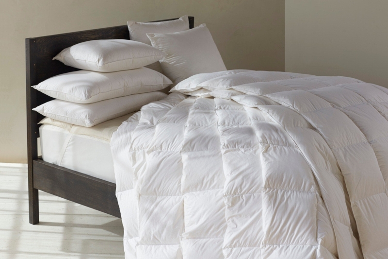 Pillow Inserts, Pair of Plump Knife Edge Forms