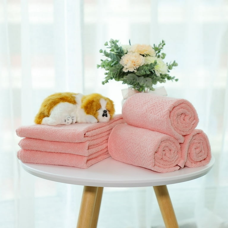 Plush Solid Pink Hand Towel 6-Pack, Coordinated Vanity Towels