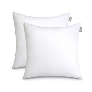 Square Throw Pillow Insert Set of 2 White Minimalist Forms