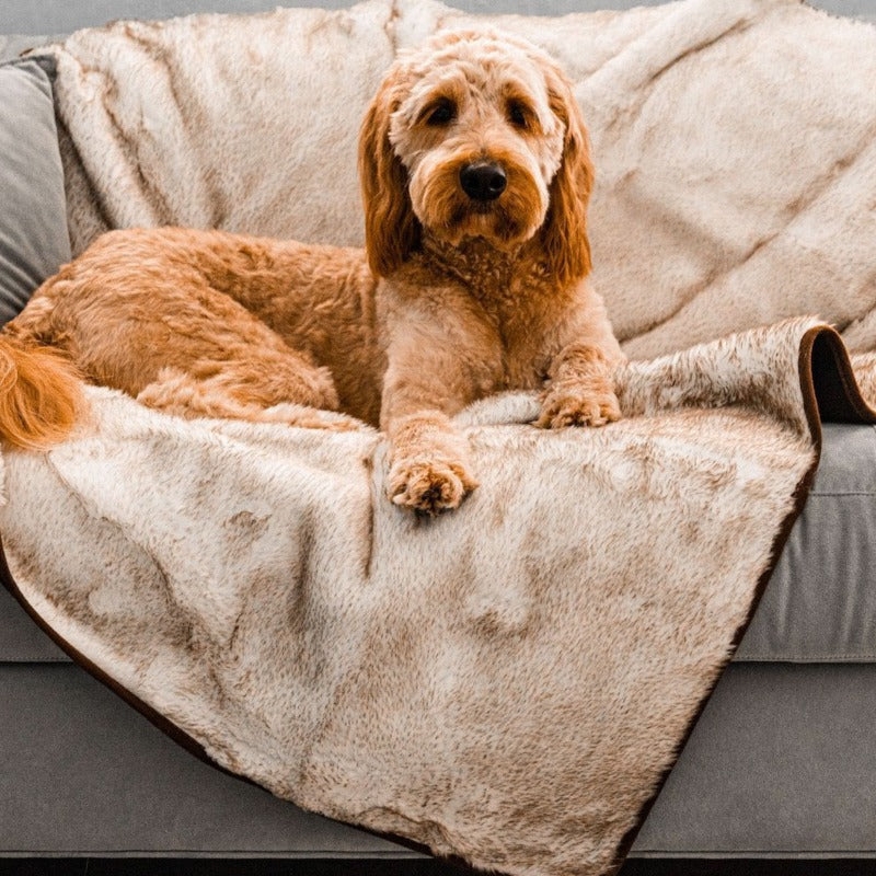 Throw Blanket, Faux Fur with Brindle Pattern and Accents, Plush