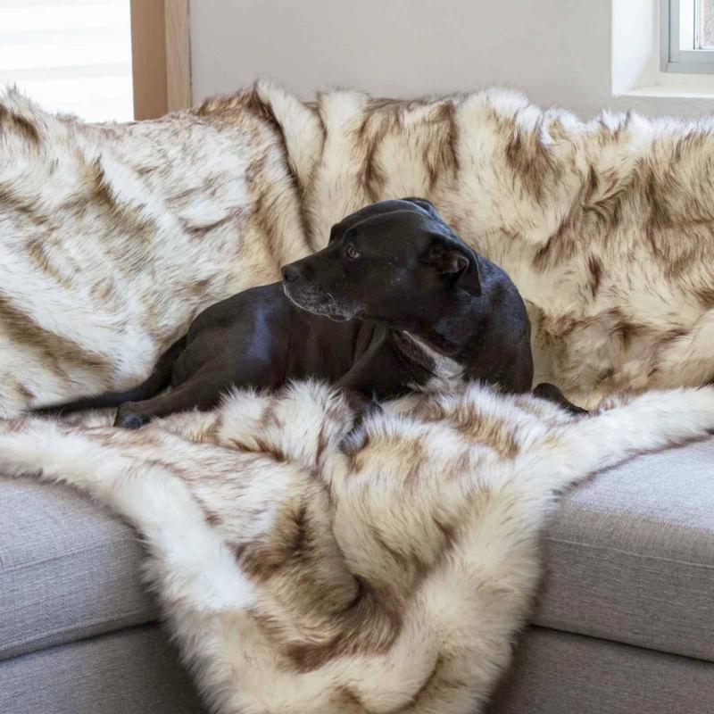 Throw Blanket in High Pile Shag Faux Fur, Cream and Off-White