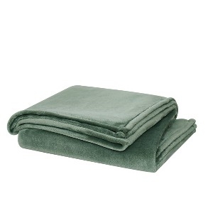Throw Blanket Sage Green Plush Microfiber Oversized Cozy