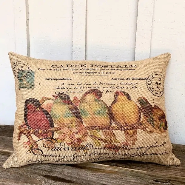 Throw Pillow Burlap Like Texture Bird Graphic Rustic Farmhouse Decor