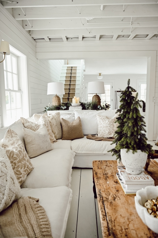 Throw Pillow Collection Neutral Palette Chunky Knit Faux Fur