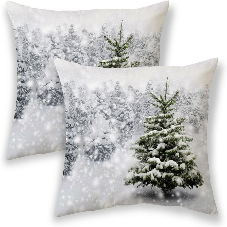 Throw Pillow Cover Monochromatic Holiday Graphic