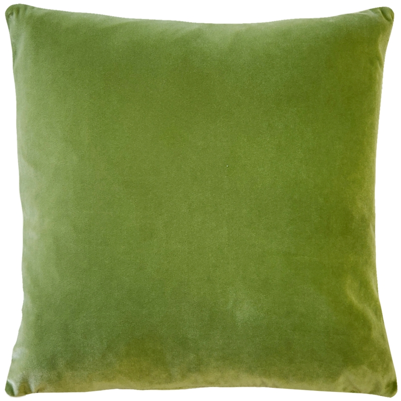 Throw Pillow: Summer Green Velvet with Flange Edge, Vibrant Cushion
