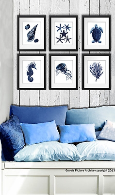 Wall Art Set: Coordinated Set of Six Unframed Sea Life Illustrations.