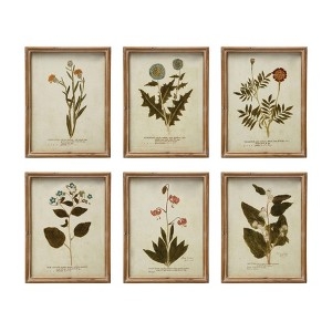 Wall Art Set of 6 Gallery Wall Vintage Botanical Wood Frames