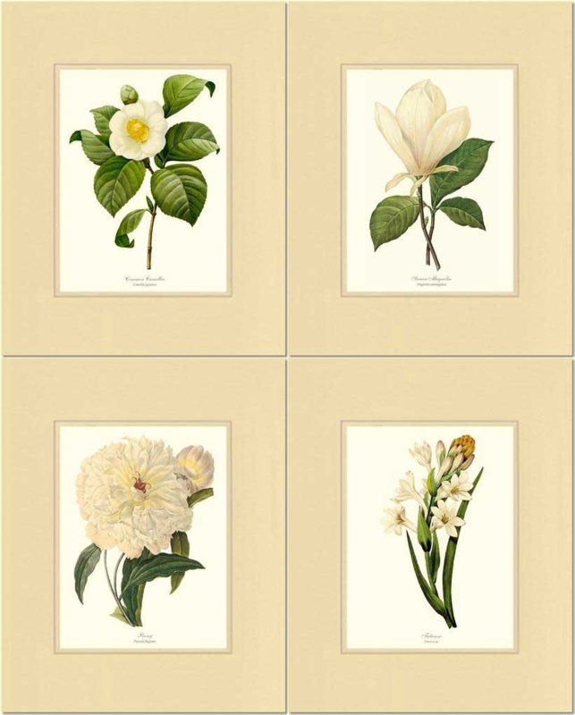 Wall Art Set of Four Grid Layout Botanical Natural Wood Frames