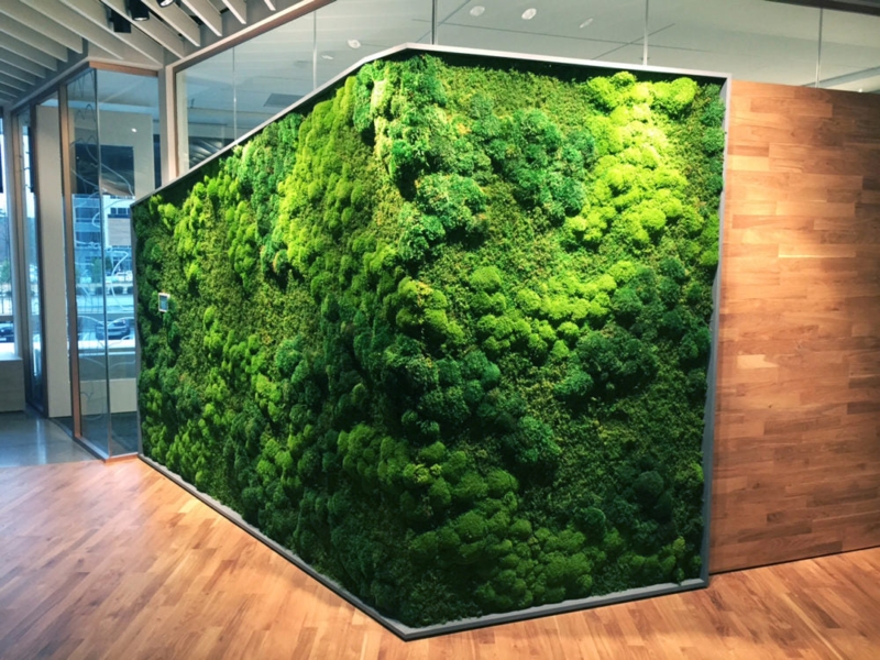 Wall Art Set Preserved Moss Wood Frames Biophilic Design Triptych