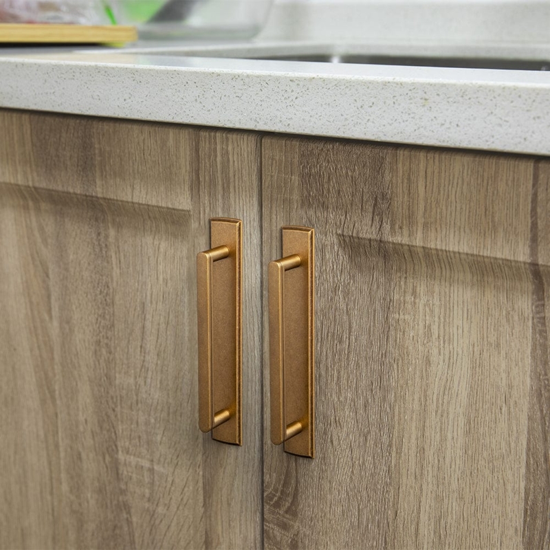 2 Pack Cabinet Handles with Back Plate Vintage Kitchen Drawer Pulls wi