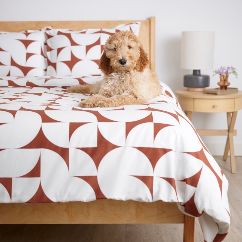 Brushed Cotton Duvet Cover Set with Typography Design, Minimalist Bedding