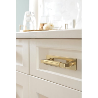 Cabinet Pull Brushed Silver Cup Design Rectangular Backplate Hardware