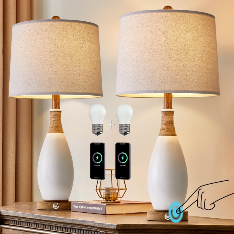 Industrial Farmhouse Table Lamp Set with Cage Base and USB Ports