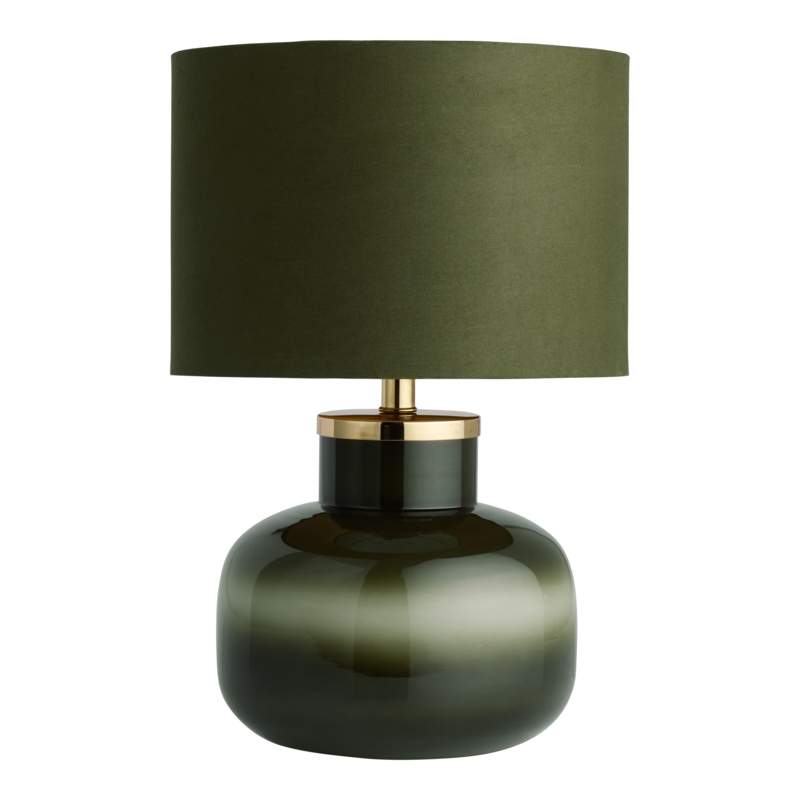 Modern Organic Green Ombre Blown Glass Table Lamp Decor