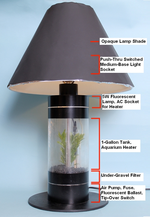 Table Lamp Aquarium Base with Living Terrarium Element and Blue Shade